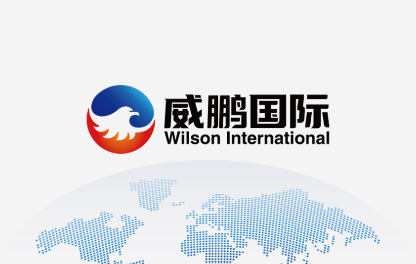 大连威鹏国际企业形象系统设计